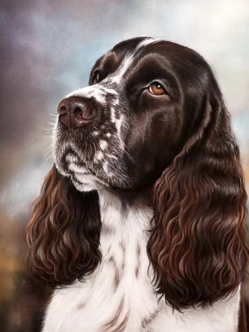 English Springer Spaniel Dog | Diamond Painting