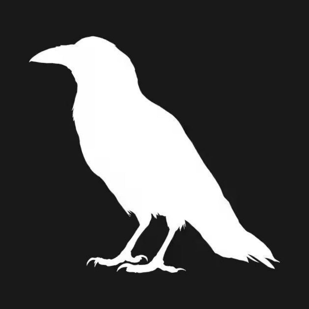 Crow | Diamond Painting