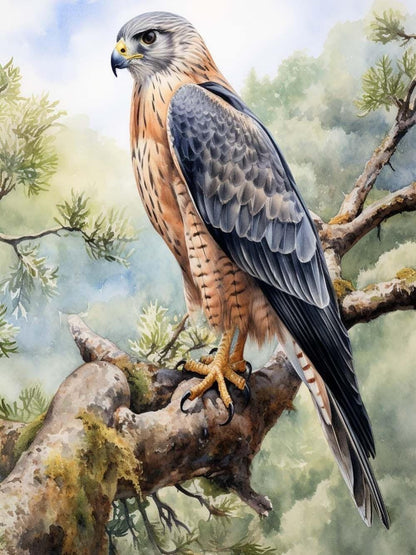 Falcon | Diamond Painting
