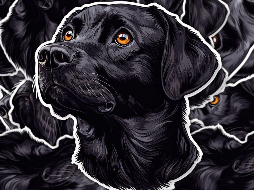 Black Labrador Dog | Diamond Painting