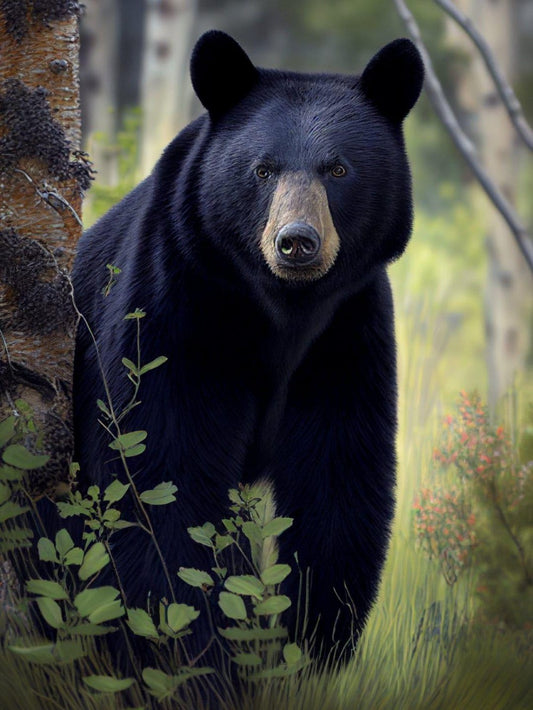 Black Bear | Diamond Painting