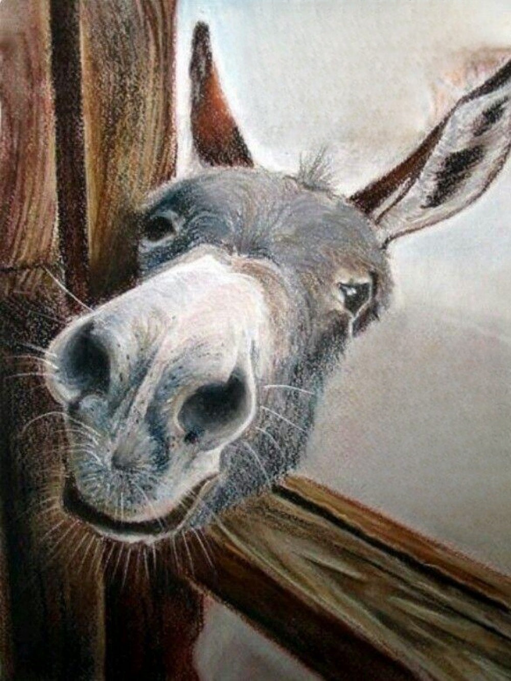 Donkey | Diamond Painting