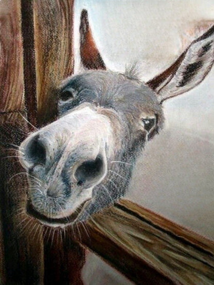 Donkey | Diamond Painting