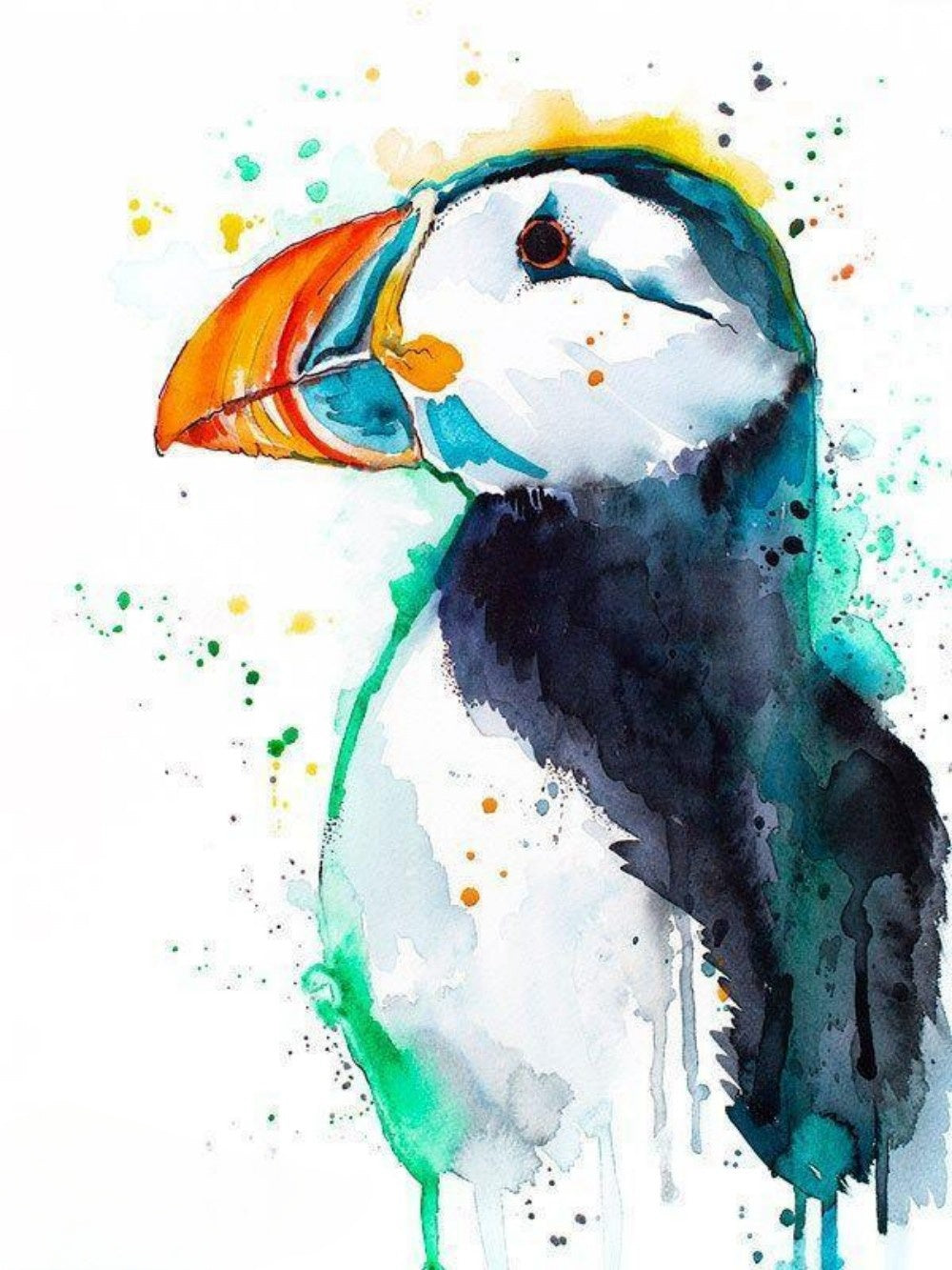 Puffin | Diamond Painting