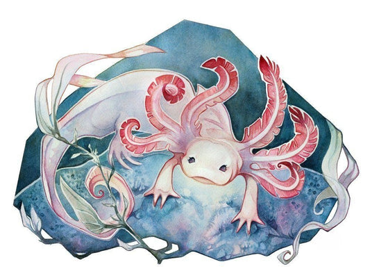 Axolotl | Diamond Painting