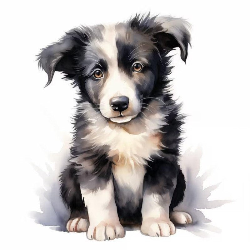 Dog Border Collie | Diamond Painting