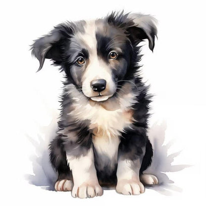 Dog Border Collie | Diamond Painting