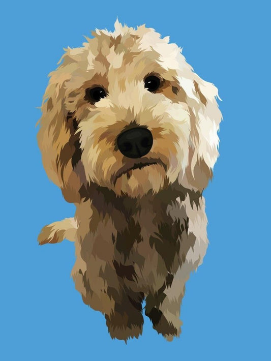 Cavapoo Dog | Diamond Painting