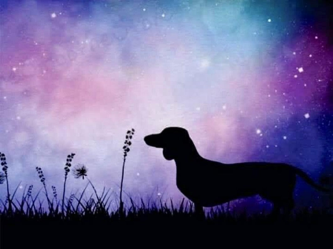 Dachshund Dog | Diamond Painting