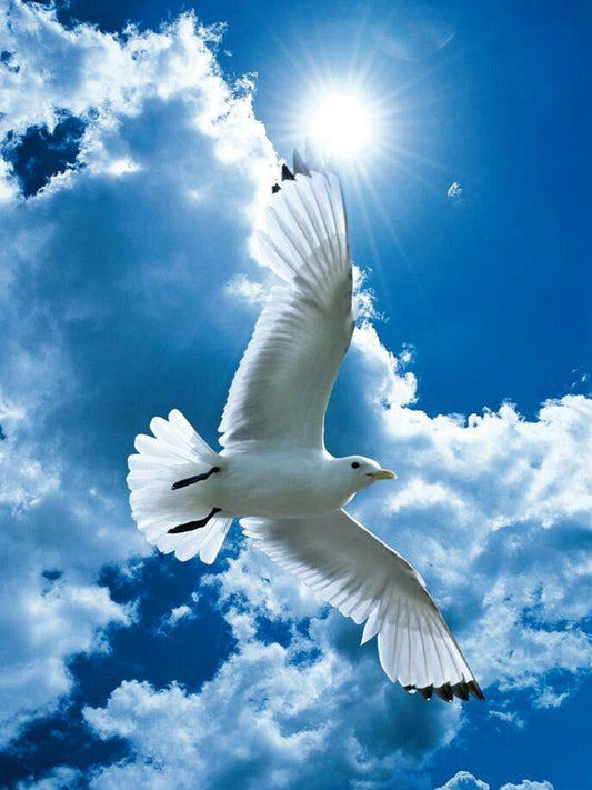Gull | Diamond Painting