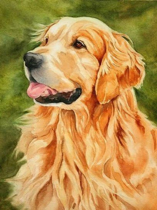 Golden Retriever Dog | Diamond Painting