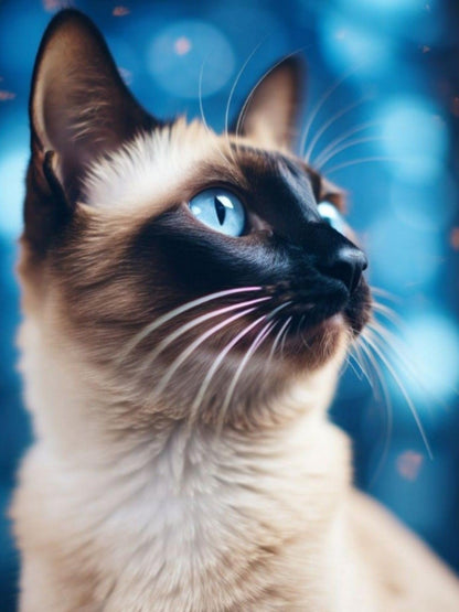 Siamese Cat | Diamond Painting