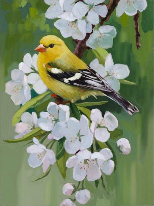 Birds and Flowers | Diamond Painting