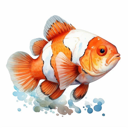 Clown Fish | Diamond Painting