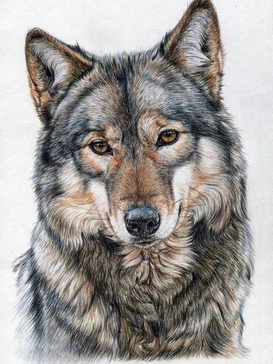 Wolf | Diamond Painting