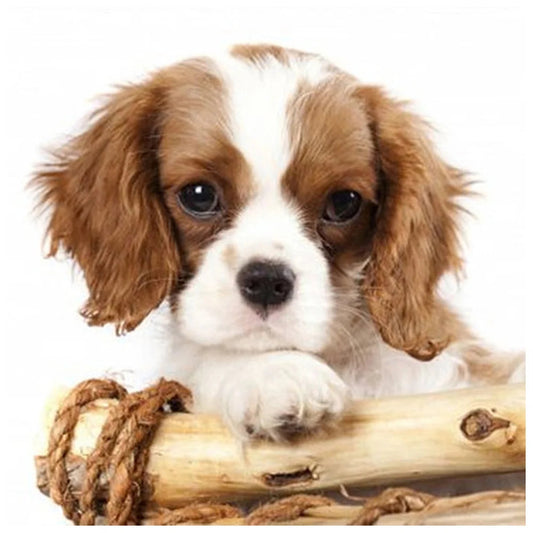 Cute Dog | Cross Stitch Embroidery