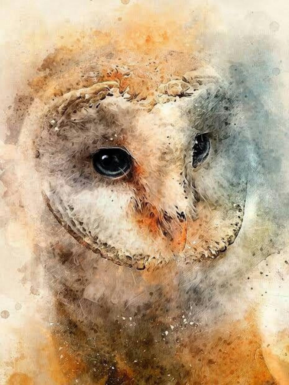 Barn Owl | Diamond Painting