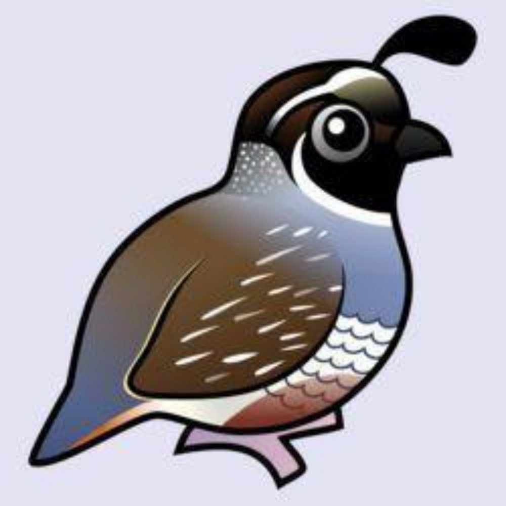 Quail | Diamond Painting