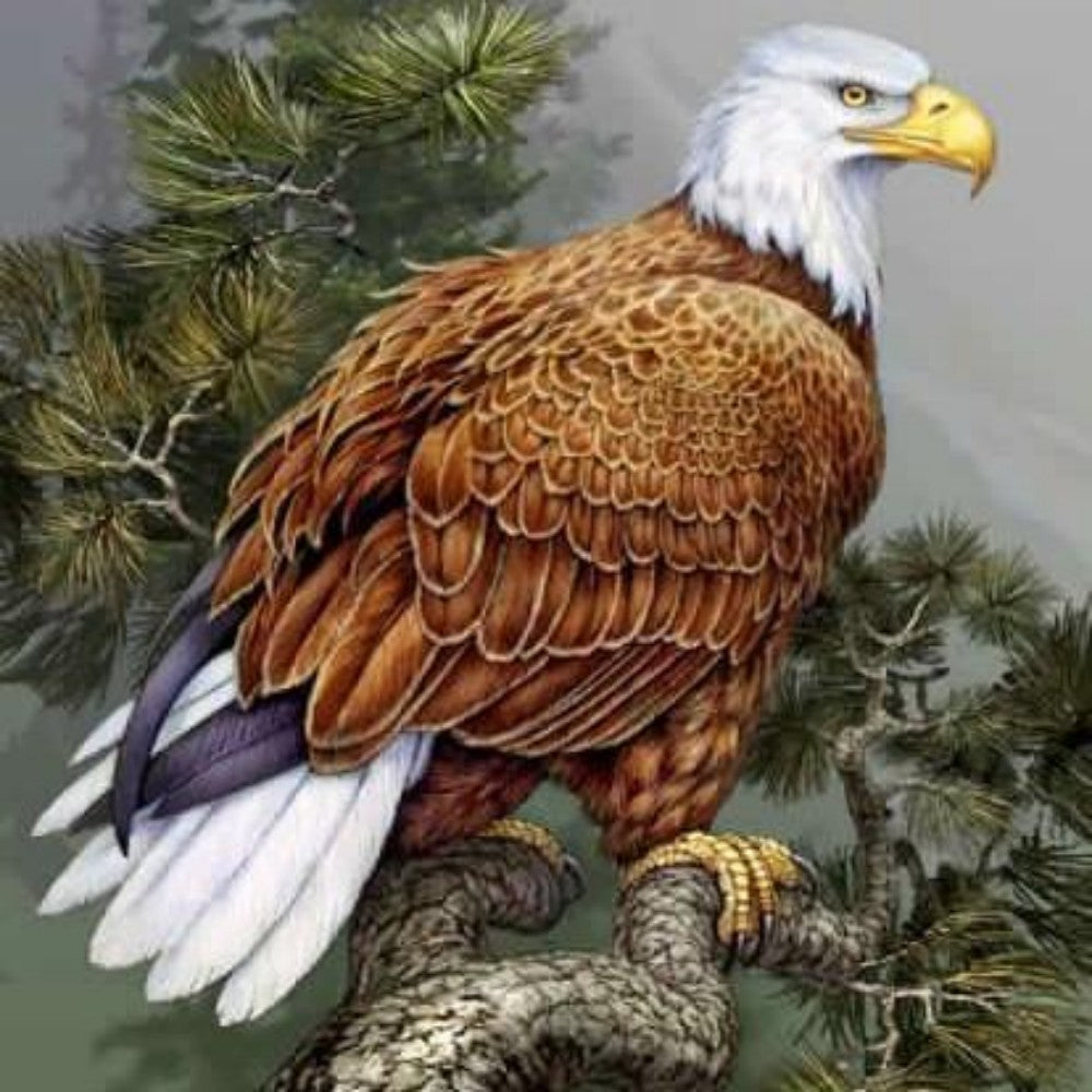 Eagle | Diamond Painting