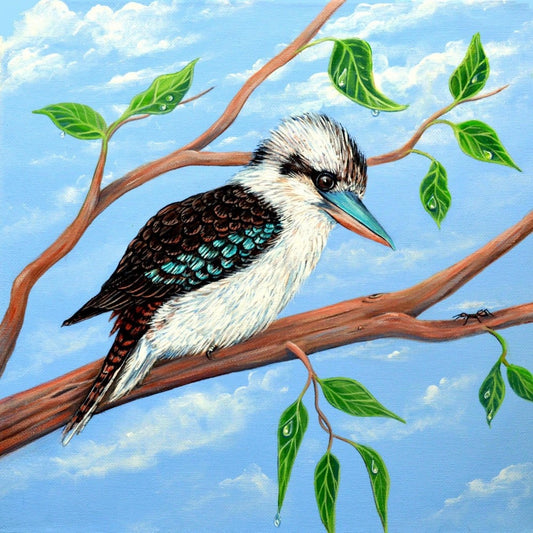 Kookaburra | Diamond Painting