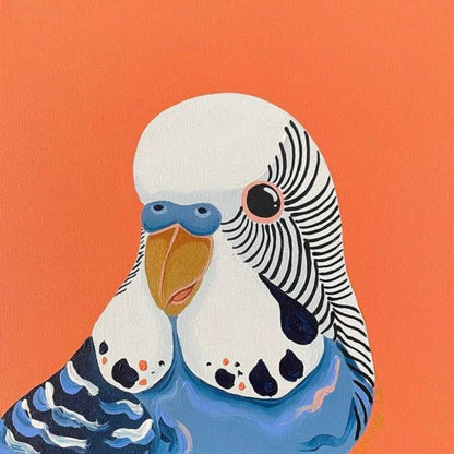 Budgie | Diamond Painting
