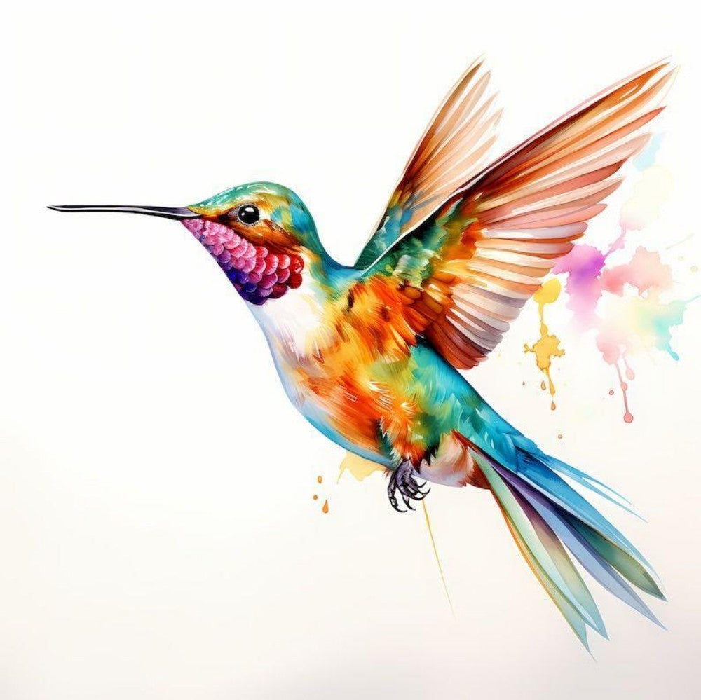 Hummingbird | Diamond Painting