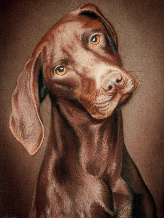 Vizsla Dog | Diamond Painting