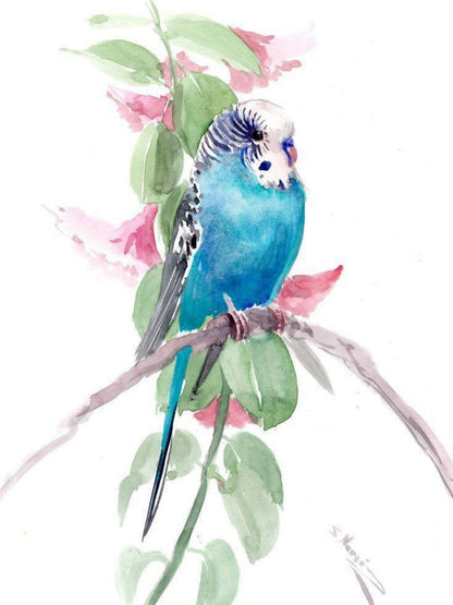 Budgie | Diamond Painting