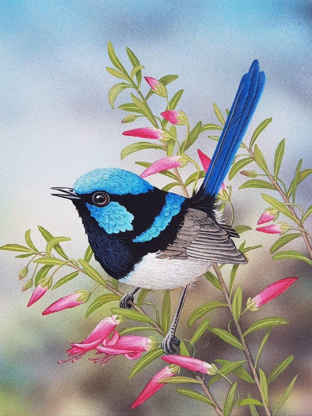 Blue Wren | Diamond Painting