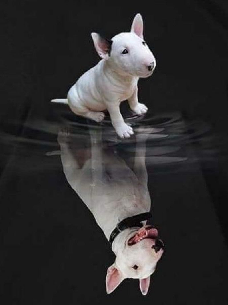 English Bull Terrier Dog | Diamond Painting