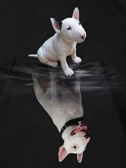 English Bull Terrier Dog | Diamond Painting