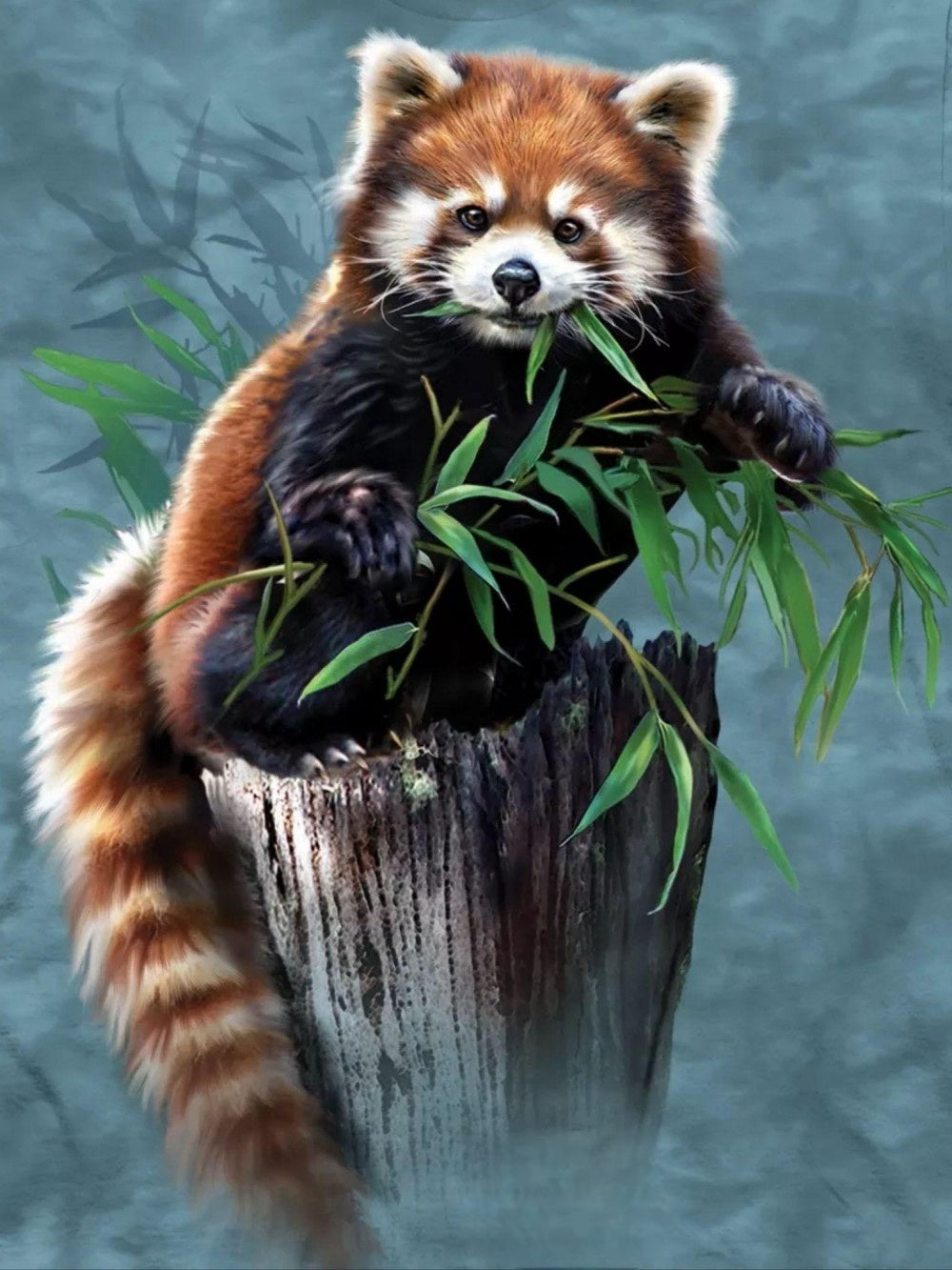 Red Panda | Diamond Painting