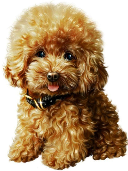 Poodle Dog | Diamond Painting