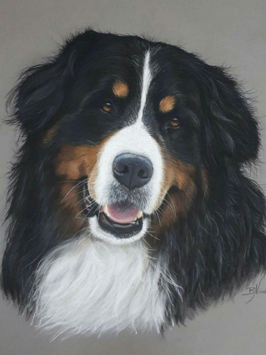 Bernese Mountain Dog | Diamond Painting