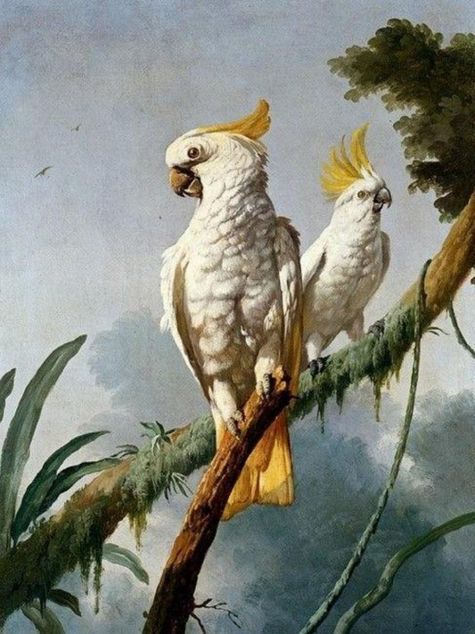 Cockatoo | Diamond Painting