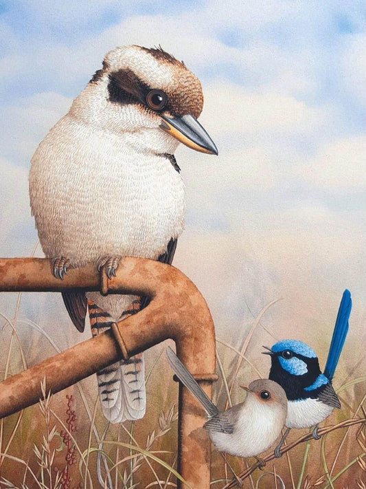 Kookaburra | Diamond Painting