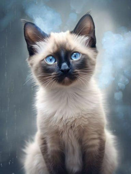 Siamese Cat | Diamond Painting