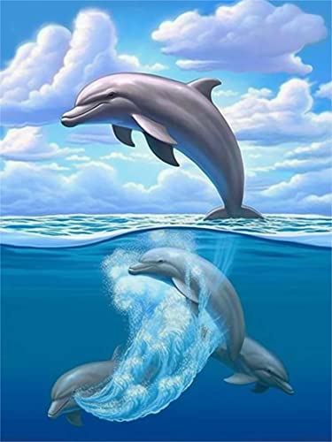 Dolphin | Cross Stitch Embroidery