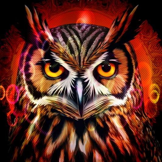 Owl | Diamond Painting