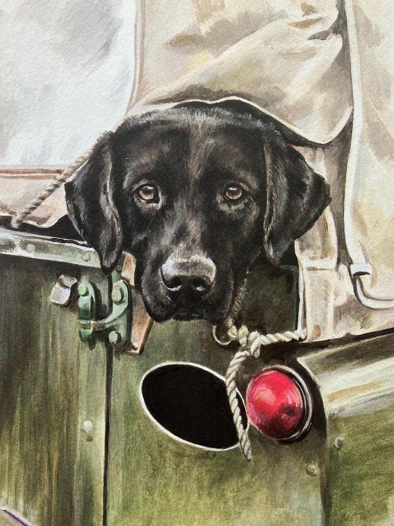 Black Labrador Dog | Diamond Painting