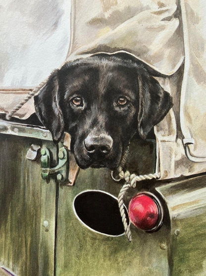Black Labrador Dog | Diamond Painting