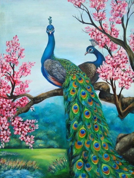 Peacock | Diamond Painting