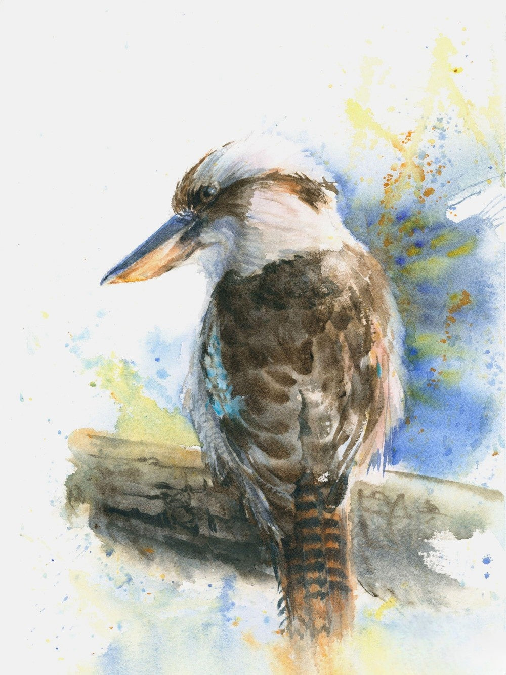 Kookaburra | Diamond Painting