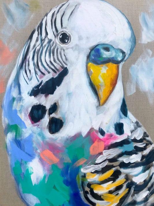 Budgie | Diamond Painting