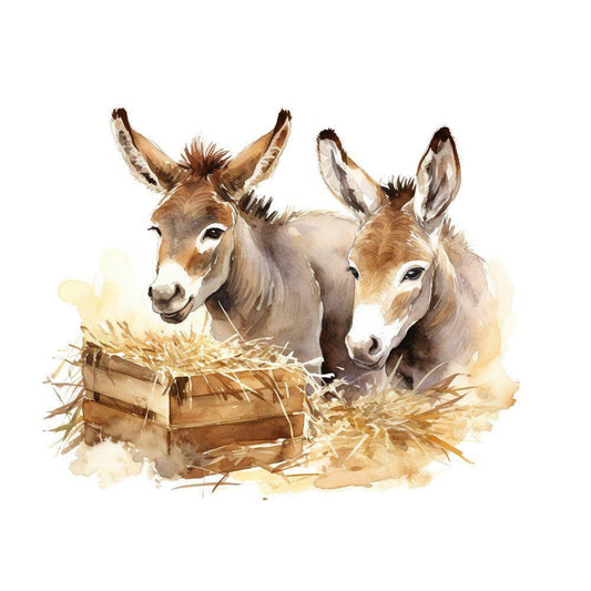 Donkey | Diamond Painting