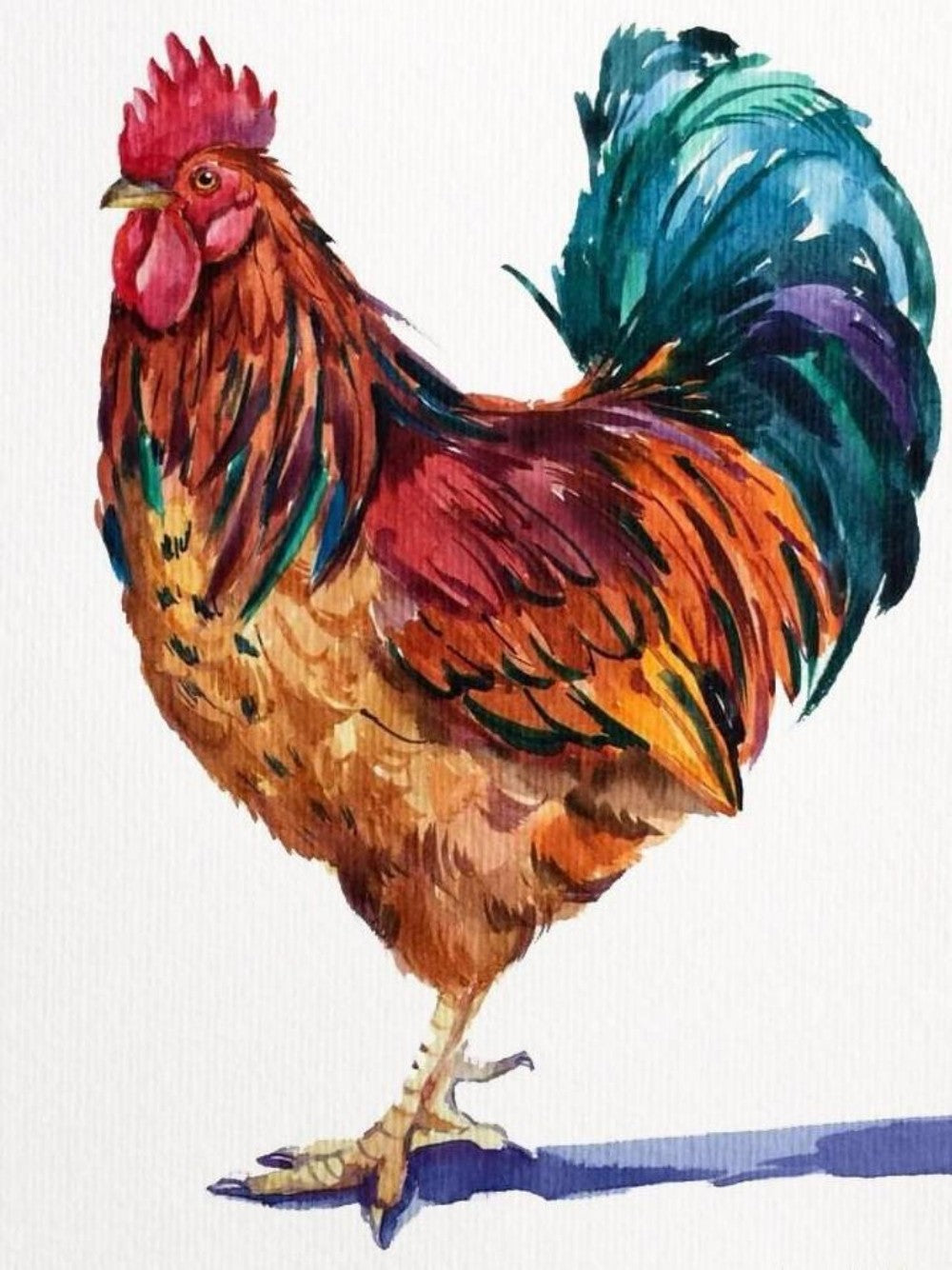 Chicken | Diamond Painting