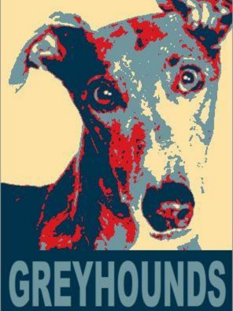 Greyhound Dog | Diamond Painting