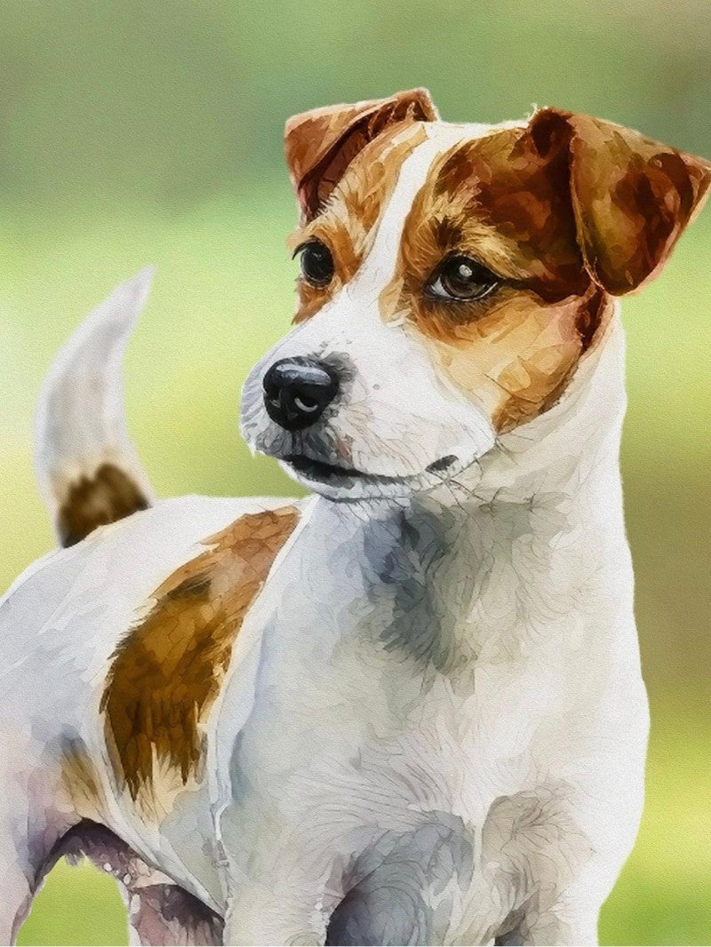 Dog Jack Russell | Diamond Painting