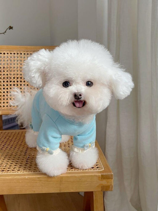 Dog Bichon Frise | Diamond Painting