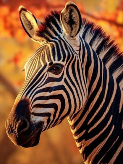 Zebra | Diamond Painting
